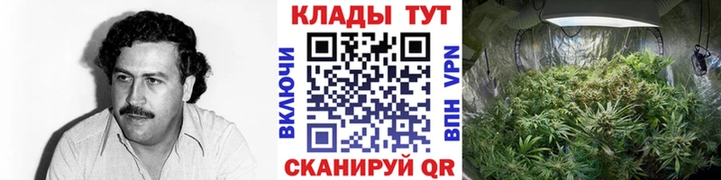 Купить наркотики цена Куйбышев АМФ  МЕФ  COCAIN 