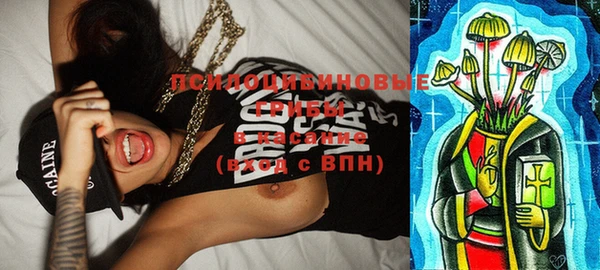 mdma Новозыбков