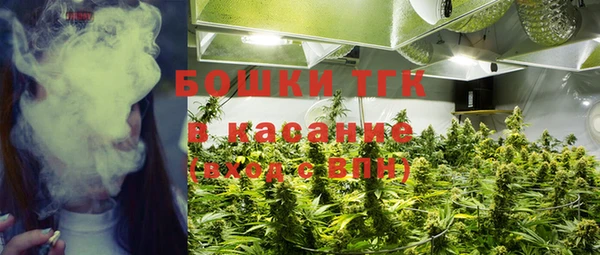 mdma Новозыбков