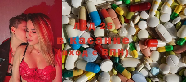 ГАЛЛЮЦИНОГЕННЫЕ ГРИБЫ Новодвинск
