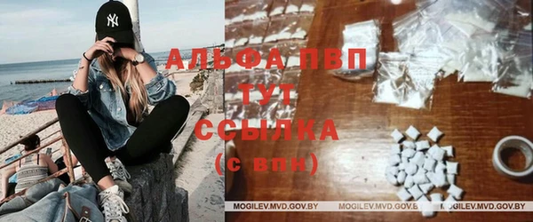 mdma Новозыбков
