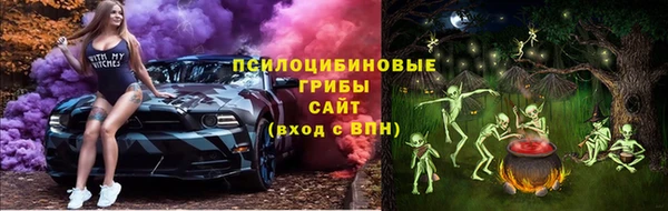 mdma Новозыбков