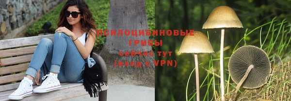 mdma Новозыбков