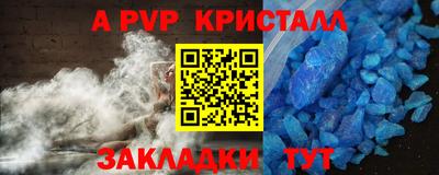 бошки Дубна