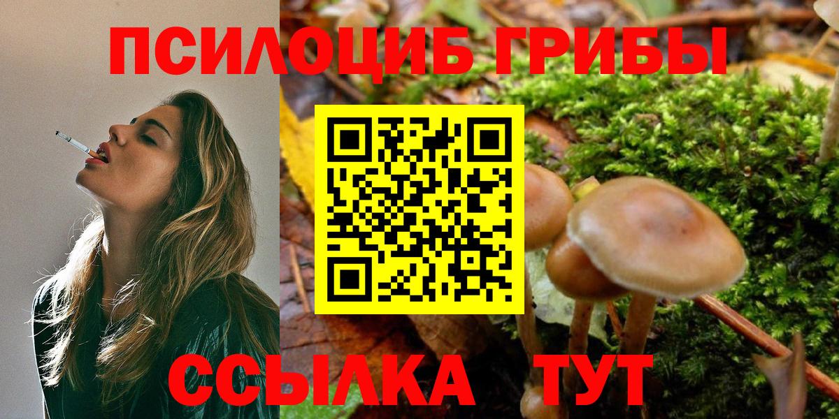 Галлюциногенные грибы GOLDEN TEACHER Куйбышев