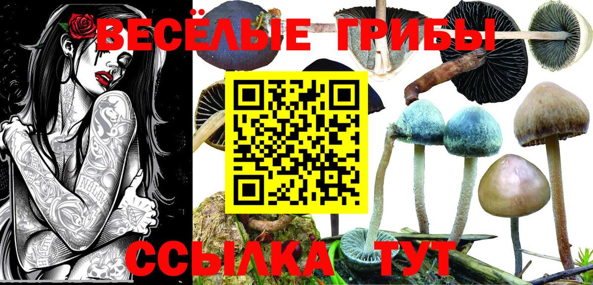 Галлюциногенные грибы Magic Shrooms  Куйбышев 
