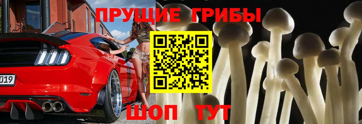 Куйбышев  Псилоцибиновые грибы Cubensis  Вход с VPN 